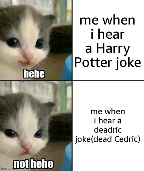 NoT fUnNy. | me when i hear a Harry Potter joke; me when i hear a deadric joke(dead Cedric) | image tagged in cute cat hehe and not hehe,harry potter,stop reading the tags | made w/ Imgflip meme maker