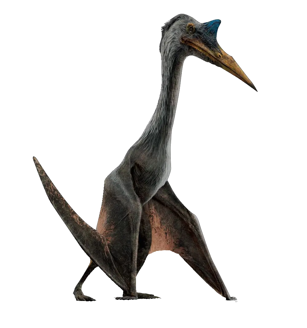 High Quality Quetzalcoatlus Blank Meme Template