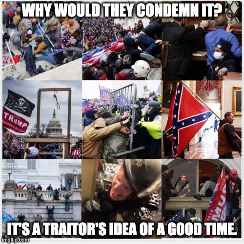 One Blue Wave, comin' up..... | WHY WOULD THEY CONDEMN IT? IT'S A TRAITOR'S IDEA OF A GOOD TIME. | image tagged in never forget 01-06-21 | made w/ Imgflip meme maker