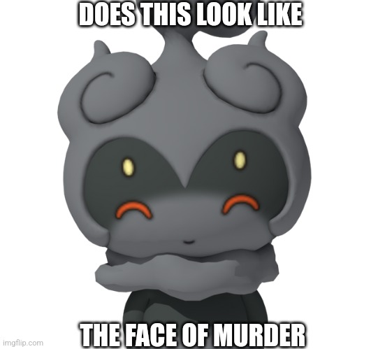 DOES THIS LOOK LIKE; THE FACE OF MURDER | made w/ Imgflip meme maker