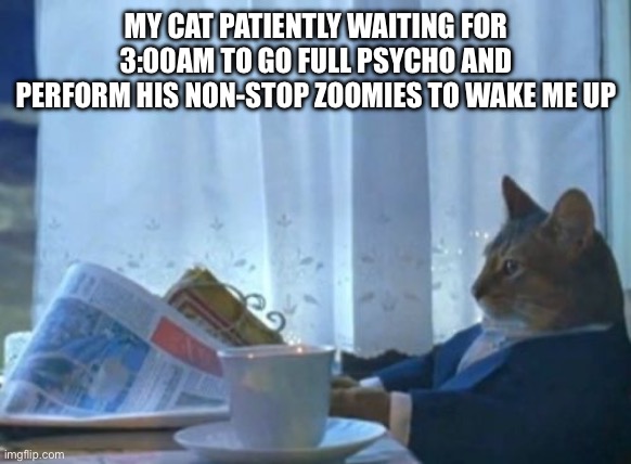 Oh lawd here he come | MY CAT PATIENTLY WAITING FOR 3:00AM TO GO FULL PSYCHO AND PERFORM HIS NON-STOP ZOOMIES TO WAKE ME UP | image tagged in memes,i should buy a boat cat,cats,zoom,3 am | made w/ Imgflip meme maker