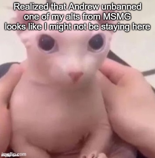 bingus | Realized that Andrew unbanned one of my alts from MSMG looks like I might not be staying here | image tagged in bingus | made w/ Imgflip meme maker