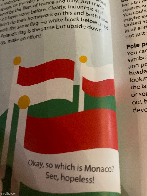 "It's simple, really. For Monaco and Indonesia, the lighter shade of red is Indonesia" For Poland, the flag is upside down and h | image tagged in nerd emoji | made w/ Imgflip meme maker