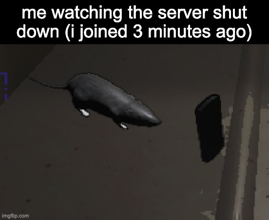 b r o | me watching the server shut down (i joined 3 minutes ago) | image tagged in lethal company rat | made w/ Imgflip meme maker