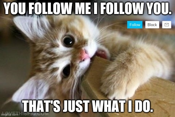 or if you're funny i do that too. | YOU FOLLOW ME I FOLLOW YOU. THAT'S JUST WHAT I DO. | image tagged in that's just silly cat | made w/ Imgflip meme maker