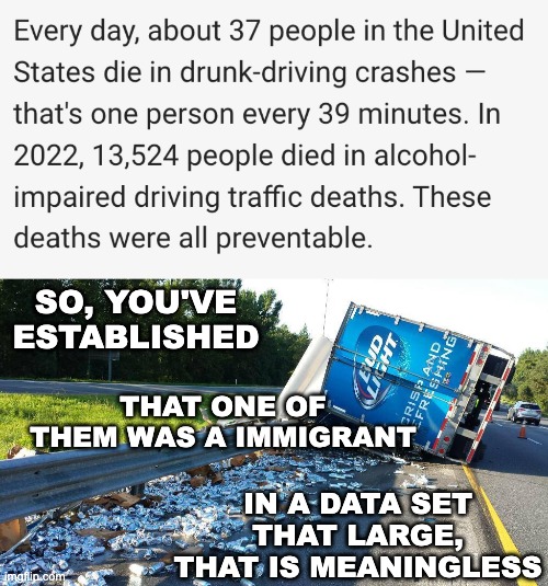 SO, YOU'VE ESTABLISHED IN A DATA SET THAT LARGE, THAT IS MEANINGLESS THAT ONE OF THEM WAS A IMMIGRANT | image tagged in beer truck crash | made w/ Imgflip meme maker