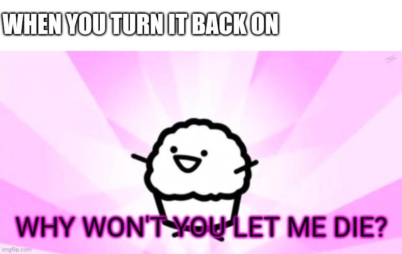 WHEN YOU TURN IT BACK ON | image tagged in why won't you let me die | made w/ Imgflip meme maker