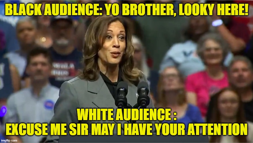 Ebonics on Demand | BLACK AUDIENCE: YO BROTHER, LOOKY HERE! WHITE AUDIENCE :
EXCUSE ME SIR MAY I HAVE YOUR ATTENTION | image tagged in cultural appropriation,maga,make america great again,kamala harris,vice president,california | made w/ Imgflip meme maker