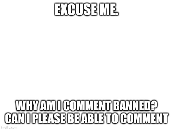 EXCUSE ME. WHY AM I COMMENT BANNED? CAN I PLEASE BE ABLE TO COMMENT | made w/ Imgflip meme maker