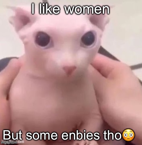 bingus | I like women; But some enbies tho😳 | image tagged in bingus | made w/ Imgflip meme maker