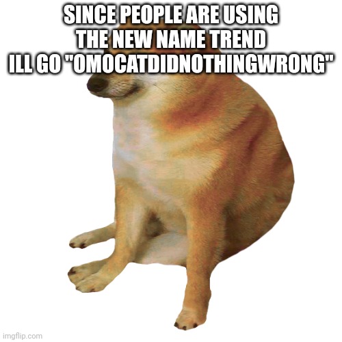 cheems | SINCE PEOPLE ARE USING THE NEW NAME TREND
ILL GO "OMOCATDIDNOTHINGWRONG" | image tagged in cheems | made w/ Imgflip meme maker