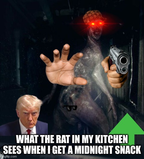 goofy meme | WHAT THE RAT IN MY KITCHEN SEES WHEN I GET A MIDNIGHT SNACK | image tagged in scp-3199 | made w/ Imgflip meme maker