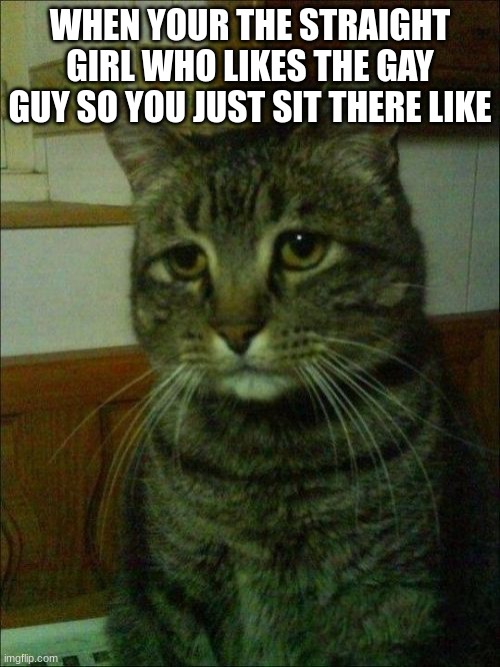 Depressed Cat Meme | WHEN YOUR THE STRAIGHT GIRL WHO LIKES THE GAY GUY SO YOU JUST SIT THERE LIKE | image tagged in memes,depressed cat,hide the pain | made w/ Imgflip meme maker