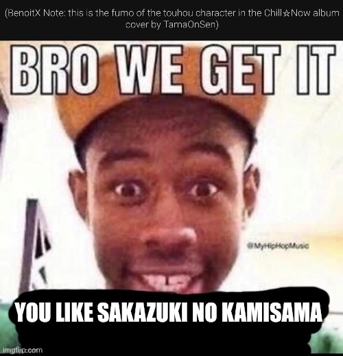 YOU LIKE SAKAZUKI NO KAMISAMA | image tagged in bro we get it blank | made w/ Imgflip meme maker