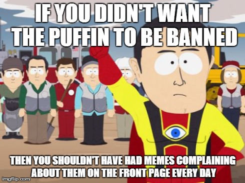 Captain Hindsight | IF YOU DIDN'T WANT THE PUFFIN TO BE BANNED THEN YOU SHOULDN'T HAVE HAD MEMES COMPLAINING ABOUT THEM ON THE FRONT PAGE EVERY DAY | image tagged in memes,captain hindsight,AdviceAnimals | made w/ Imgflip meme maker