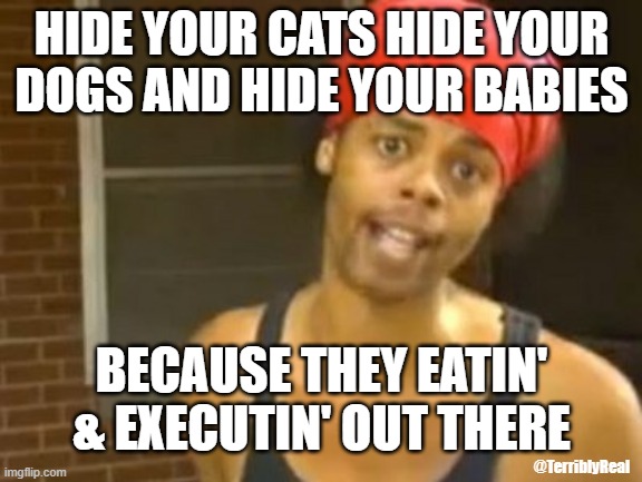 Weeeellllll... | HIDE YOUR CATS HIDE YOUR DOGS AND HIDE YOUR BABIES; BECAUSE THEY EATIN' & EXECUTIN' OUT THERE; @TerriblyReal | image tagged in memes,hide yo kids hide yo wife,presidential debate,parody,funny memes,politics | made w/ Imgflip meme maker