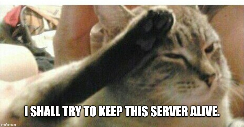 Cat of Honor | I SHALL TRY TO KEEP THIS SERVER ALIVE. | image tagged in cat of honor | made w/ Imgflip meme maker