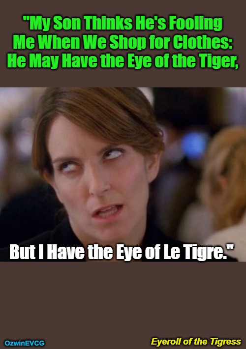 Eyeroll of the Tigress | "My Son Thinks He's Fooling 

Me When We Shop for Clothes: 

He May Have the Eye of the Tiger, But I Have the Eye of Le Tigre."; Eyeroll of the Tigress; OzwinEVCG | image tagged in face you make,moms,sons,annoying tina,shopping,be prepared | made w/ Imgflip meme maker