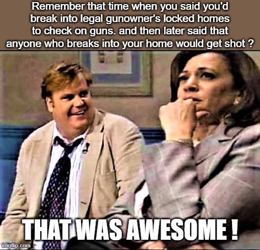 Chris Farley and Kamala | Remember that time when you said you'd break into legal gunowner's locked homes to check on guns. and then later said that anyone who breaks into your home would get shot ? THAT WAS AWESOME ! | image tagged in chris farley and kamala | made w/ Imgflip meme maker