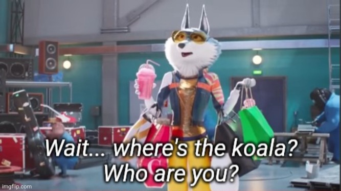 Where's the koala? | image tagged in where's the koala | made w/ Imgflip meme maker