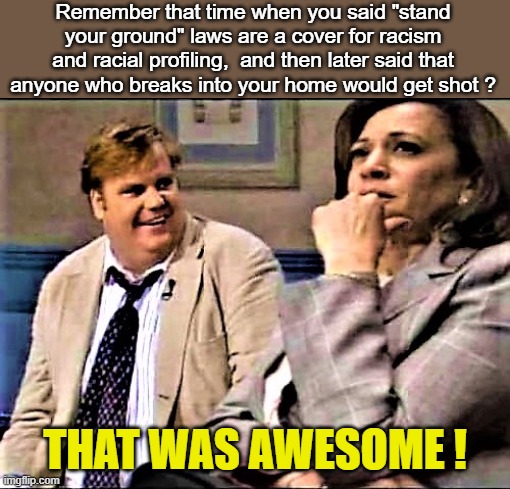 Chris Farley and Kamala | Remember that time when you said "stand your ground" laws are a cover for racism and racial profiling,  and then later said that anyone who breaks into your home would get shot ? THAT WAS AWESOME ! | image tagged in chris farley and kamala | made w/ Imgflip meme maker