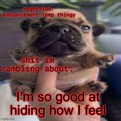 pug temp | I’m so good at hiding how I feel | image tagged in pug temp | made w/ Imgflip meme maker