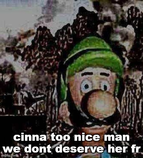 luigi yard stare | cinna too nice man we dont deserve her fr | image tagged in luigi yard stare | made w/ Imgflip meme maker