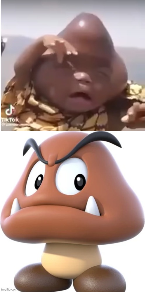 Looks like bro didn't watch the super mario super show (this is obviously a joke) | image tagged in tag | made w/ Imgflip meme maker