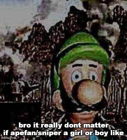 luigi yard stare | bro it really dont matter if apefan/sniper a girl or boy like | image tagged in luigi yard stare | made w/ Imgflip meme maker