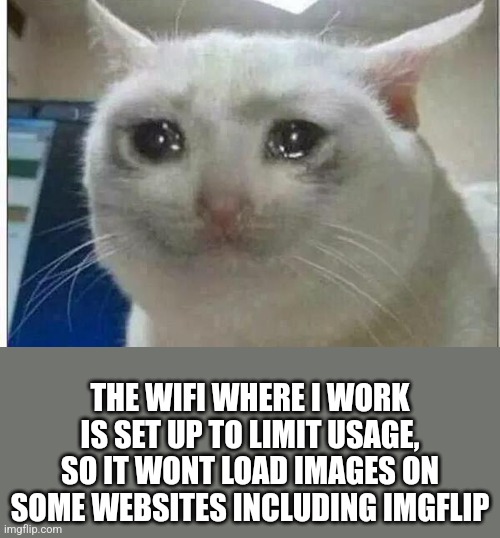 ㅤ | THE WIFI WHERE I WORK IS SET UP TO LIMIT USAGE, SO IT WONT LOAD IMAGES ON SOME WEBSITES INCLUDING IMGFLIP | image tagged in crying cat | made w/ Imgflip meme maker