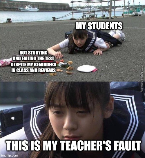 Teachers fault | MY STUDENTS; NOT STUDYING AND FAILING THE TEST DESPITE MY REMINDERS IN CLASS AND REVIEWS; THIS IS MY TEACHER'S FAULT | image tagged in schoolgirl dropping bento | made w/ Imgflip meme maker