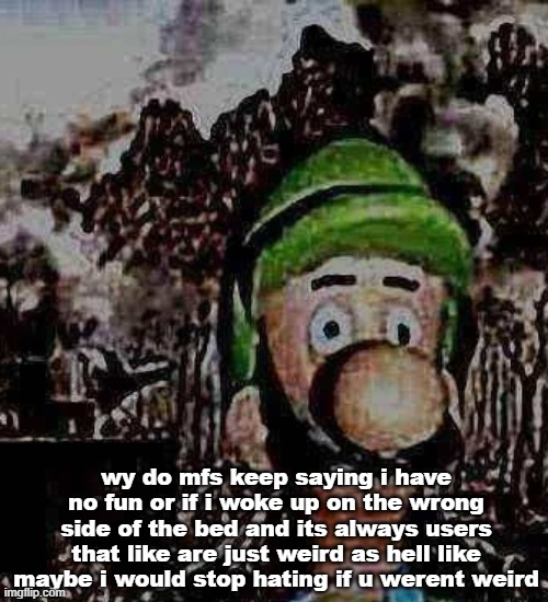 luigi yard stare | wy do mfs keep saying i have no fun or if i woke up on the wrong side of the bed and its always users that like are just weird as hell like maybe i would stop hating if u werent weird | image tagged in luigi yard stare | made w/ Imgflip meme maker