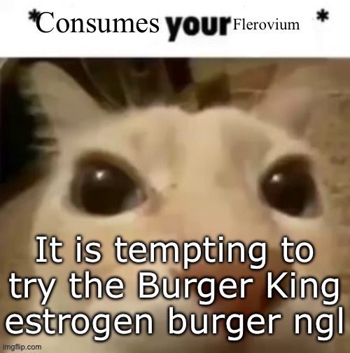 Yakko consumes your flerovium | It is tempting to try the Burger King estrogen burger ngl | image tagged in yakko consumes your flerovium | made w/ Imgflip meme maker