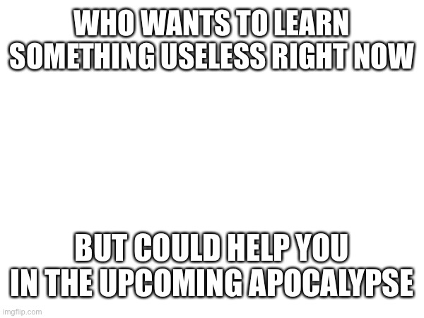 WHO WANTS TO LEARN SOMETHING USELESS RIGHT NOW; BUT COULD HELP YOU IN THE UPCOMING APOCALYPSE | made w/ Imgflip meme maker