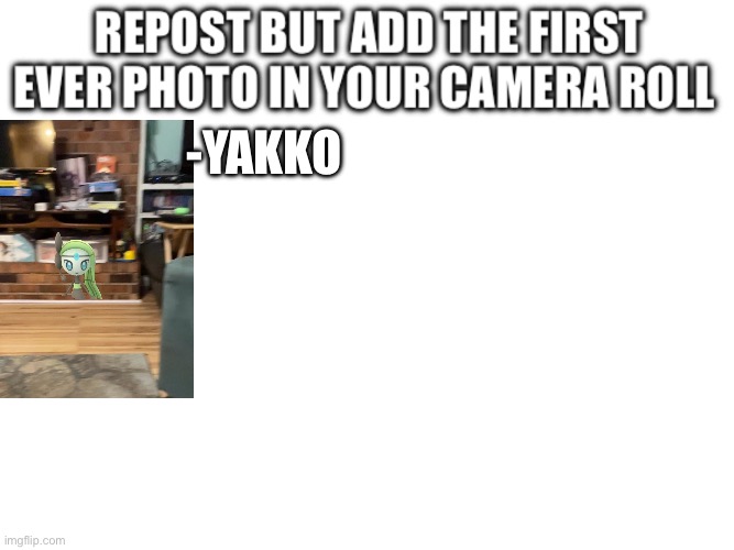 Repost but add the first photo | -YAKKO | image tagged in repost but add the first photo | made w/ Imgflip meme maker