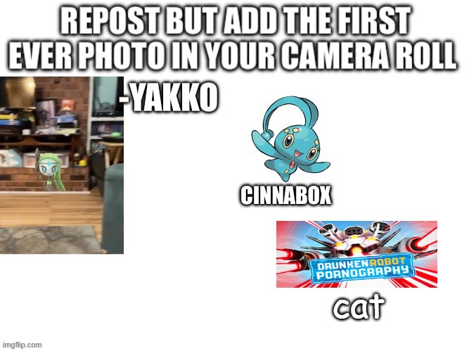 dont  ask | cat | made w/ Imgflip meme maker