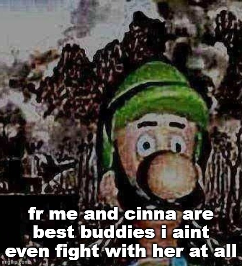 luigi yard stare | fr me and cinna are best buddies i aint even fight with her at all | image tagged in luigi yard stare | made w/ Imgflip meme maker