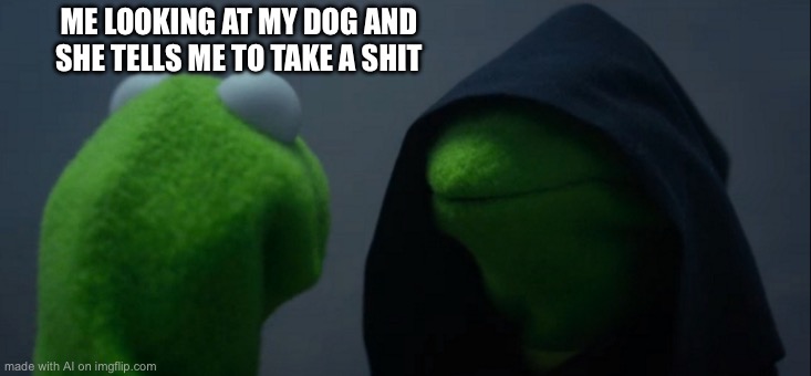 Evil Kermit | ME LOOKING AT MY DOG AND SHE TELLS ME TO TAKE A SHIT | image tagged in memes,evil kermit | made w/ Imgflip meme maker