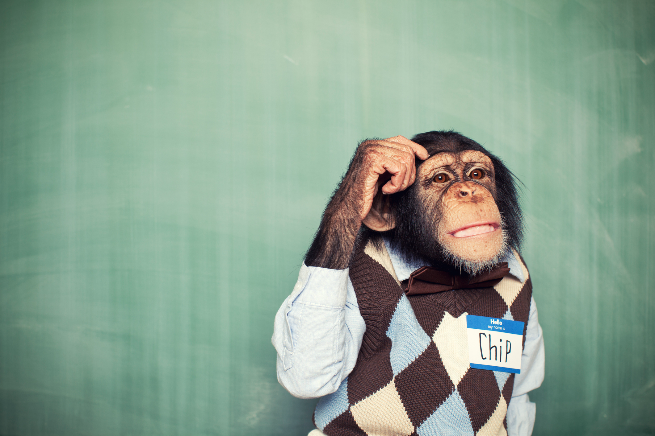 Chimp teacher Blank Meme Template