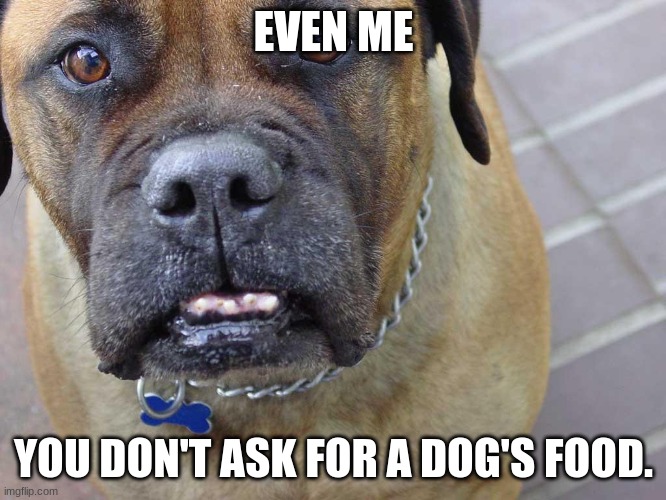 Texas. | EVEN ME; YOU DON'T ASK FOR A DOG'S FOOD. | image tagged in look | made w/ Imgflip meme maker