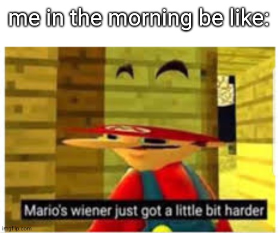 Only boys will get it | me in the morning be like: | image tagged in mario's wiener,boys | made w/ Imgflip meme maker