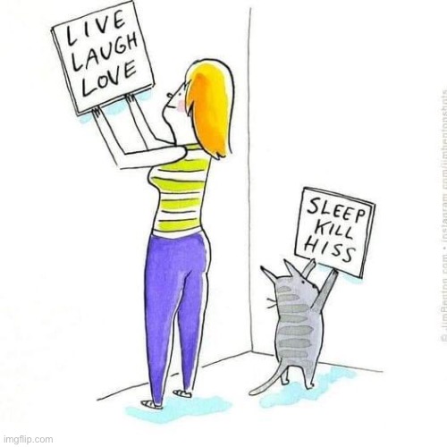 Accurate cartoon | image tagged in cats,sleep,kill,live,laughs,love | made w/ Imgflip meme maker