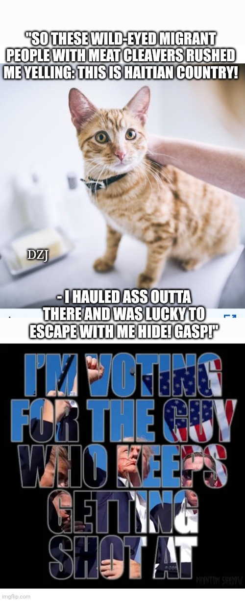 Save Kitty.  TRUMP 2024 MAGA | "SO THESE WILD-EYED MIGRANT PEOPLE WITH MEAT CLEAVERS RUSHED ME YELLING: THIS IS HAITIAN COUNTRY! DZJ; - I HAULED ASS OUTTA THERE AND WAS LUCKY TO ESCAPE WITH ME HIDE! GASP!" | image tagged in libtard,moron,losers | made w/ Imgflip meme maker