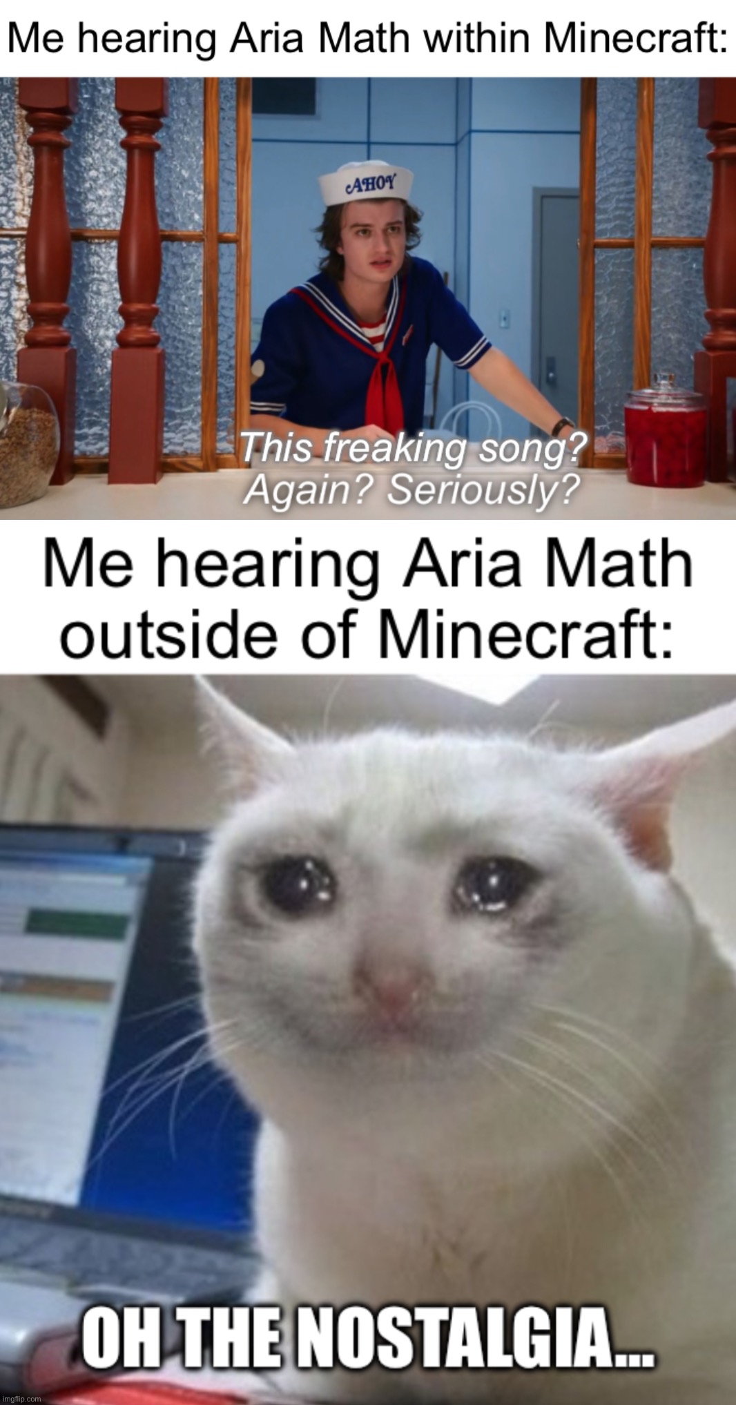 i simultaneously hate and love that song lmao | image tagged in minecraft,memes,aria math,again seriously,crying cat,nostalgia | made w/ Imgflip meme maker