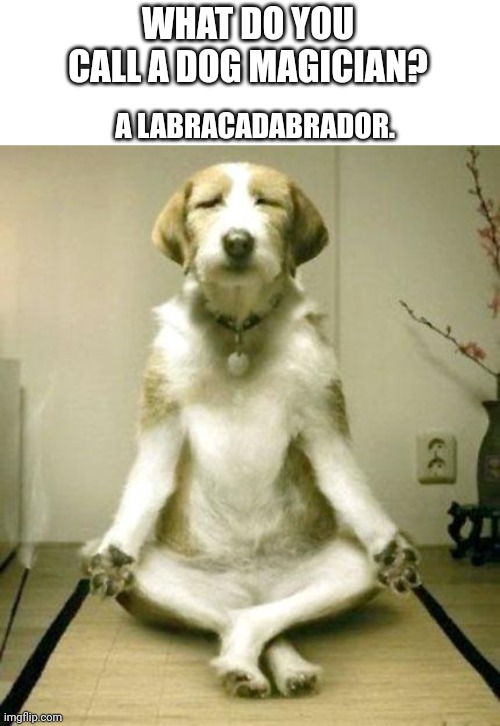 Inner Peace Dog | WHAT DO YOU CALL A DOG MAGICIAN? A LABRACADABRADOR. | image tagged in inner peace dog,memes,magician,funny,meme,funny meme | made w/ Imgflip meme maker