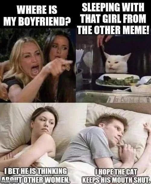 image tagged in distracted boyfriend,woman yelling at cat,crossover | made w/ Imgflip meme maker