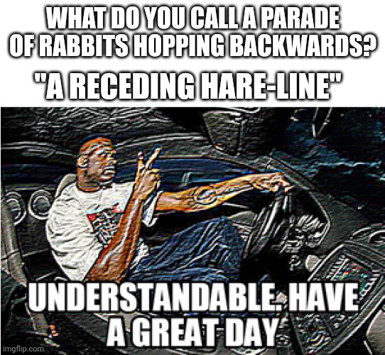 Understandable | WHAT DO YOU CALL A PARADE OF RABBITS HOPPING BACKWARDS? "A RECEDING HARE-LINE" | image tagged in funny,bunny,memes,understandable have a great day,funny meme | made w/ Imgflip meme maker