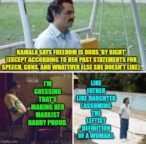 Expecting logic or consistency from any leftist politician is a fool's errand. | LIKE FATHER LIKE DAUGHTER (ASSUMING THE LEFTIST DEFINITION OF A WOMAN). KAMALA SAYS FREEDOM IS OURS 'BY RIGHT' (EXCEPT ACCORDING TO HER PAST STATEMENTS FOR SPEECH, GUNS, AND WHATEVER ELSE SHE DOESN'T LIKE). I'M GUESSING THAT'S MAKING HER MARXIST DADDY PROUD. | image tagged in yep | made w/ Imgflip meme maker