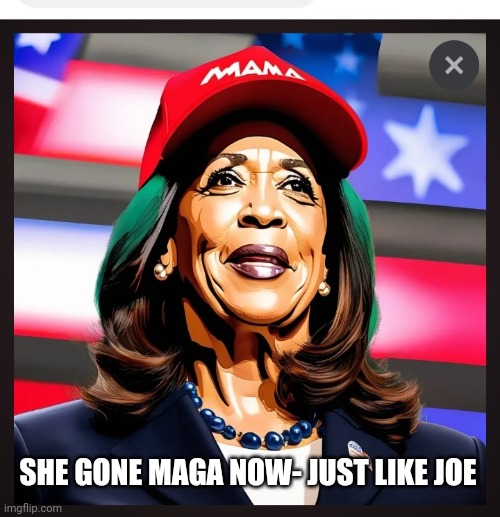 SHE GONE MAGA NOW- JUST LIKE JOE | made w/ Imgflip meme maker