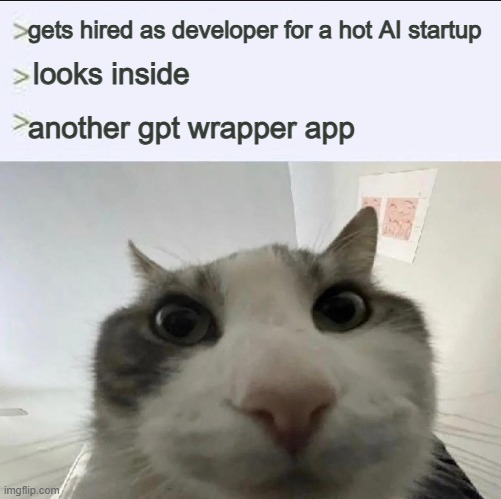 AI Startups be like | gets hired as developer for a hot AI startup; looks inside; another gpt wrapper app | image tagged in cat looks inside,startup,tech,chatgpt,ai,software | made w/ Imgflip meme maker